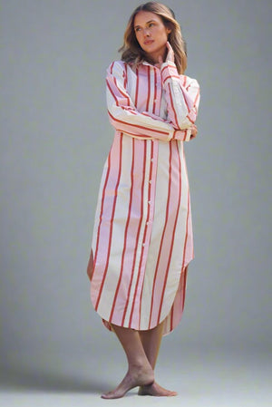 Finn Shirt Dress from ASTON STUDIO at Edito boutique