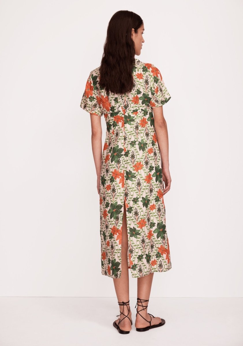 Solaria Midi Dress from MORRISON at Edito boutique