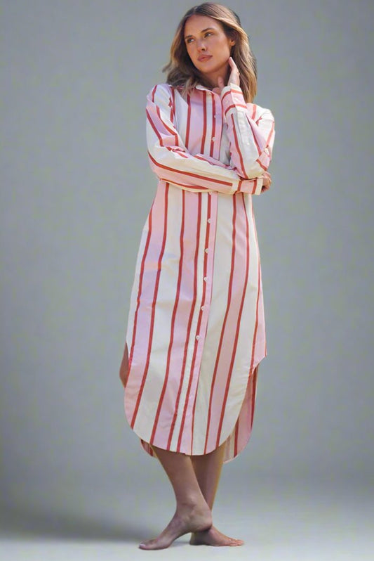 Aston Studio Finn Shirt Dress in Stripes