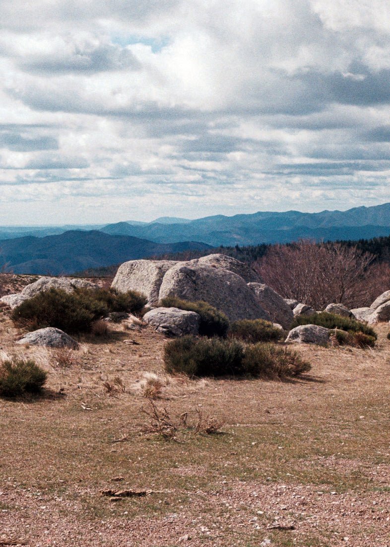 Cévenes Travel Guide from A WEEK ABROAD at Edito boutique